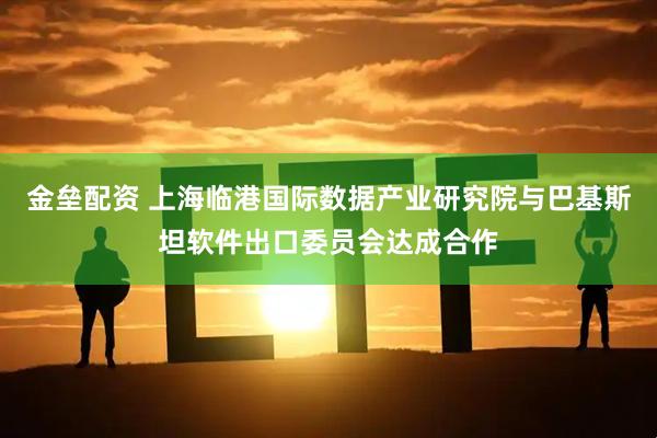 金垒配资 上海临港国际数据产业研究院与巴基斯坦软件出口委员会达成合作