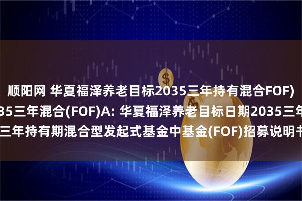 顺阳网 华夏福泽养老目标2035三年持有混合FOF)Y,华夏福泽养老目标2035三年混合(FOF)A: 华夏福泽养老目标日期2035三年持有期混合型发起式基金中基金(FOF)招募说明书更新(2025年7月17日公告)
