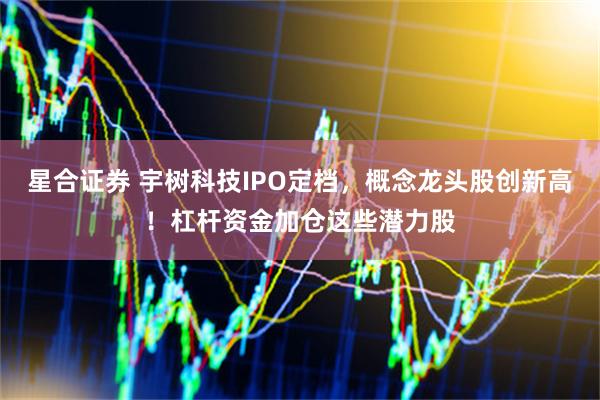 星合证券 宇树科技IPO定档，概念龙头股创新高！杠杆资金加仓这些潜力股